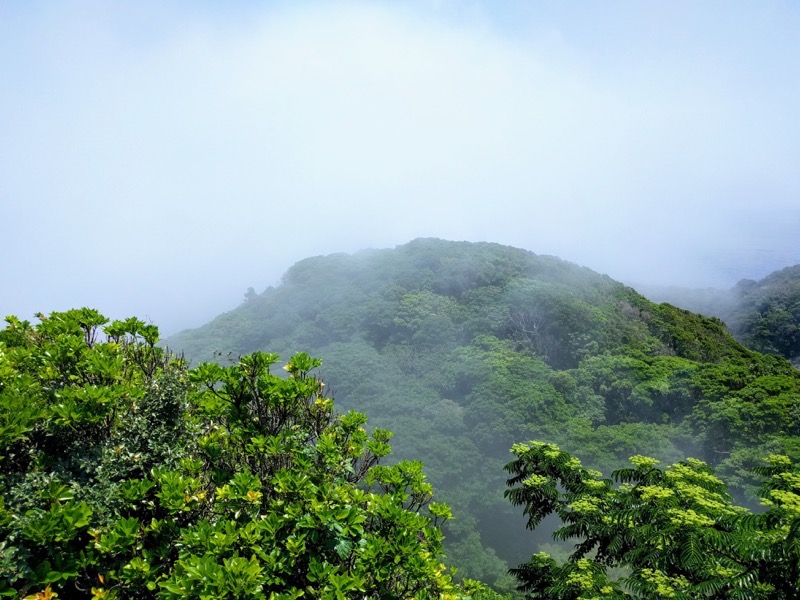 16展望所からの眺め