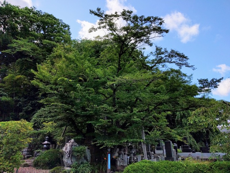 05常林寺2.jpg 05常林寺2