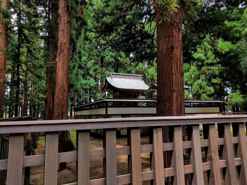 10初代謙信公不識院殿.jpg 10初代謙信公不識院殿