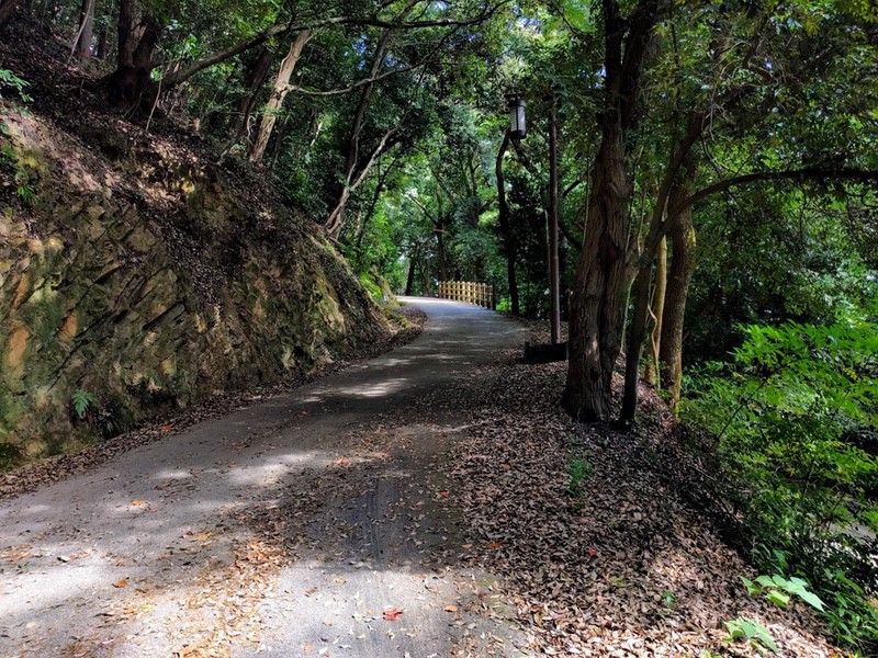 14県庁裏登山道.jpg 14県庁裏登山道