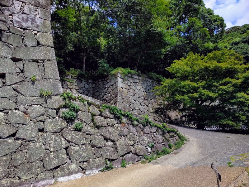 09黒門口登山道.jpg 09黒門口登山道