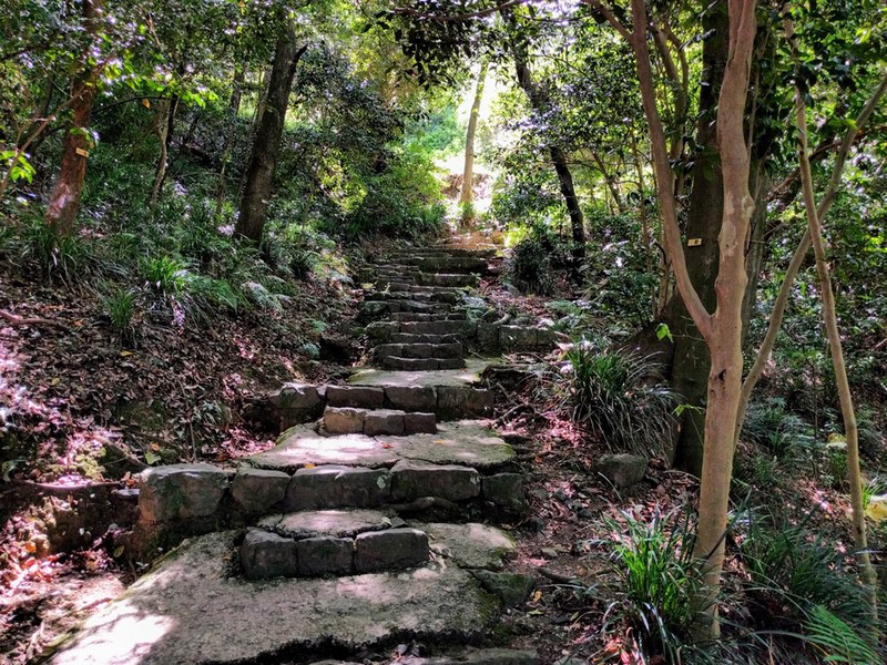 05井戸丸経由階段