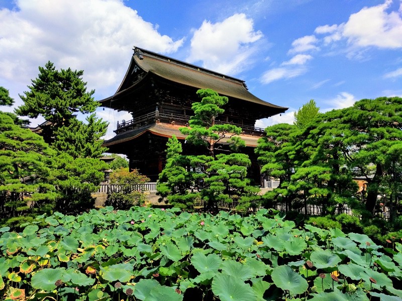 14大勧進から三門.jpg 14大勧進から三門