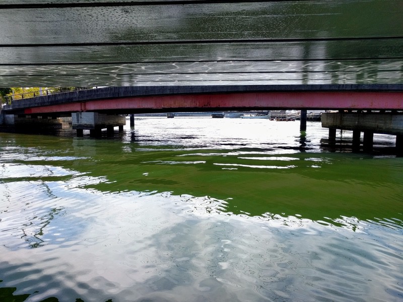 32橋の下.jpg 32橋の下