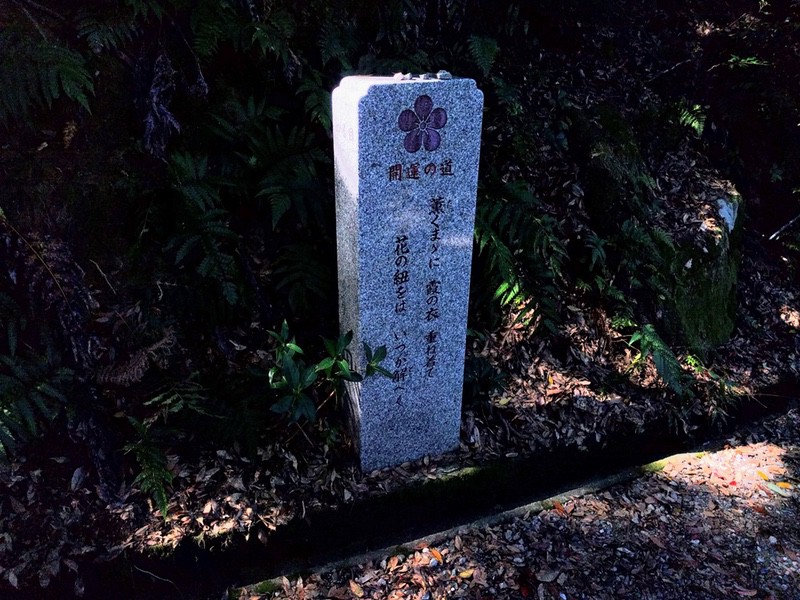 30開運の道四合目