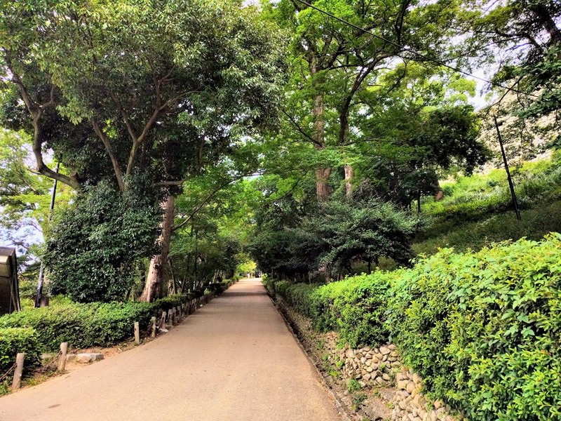 14見返り坂.jpg 14見返り坂