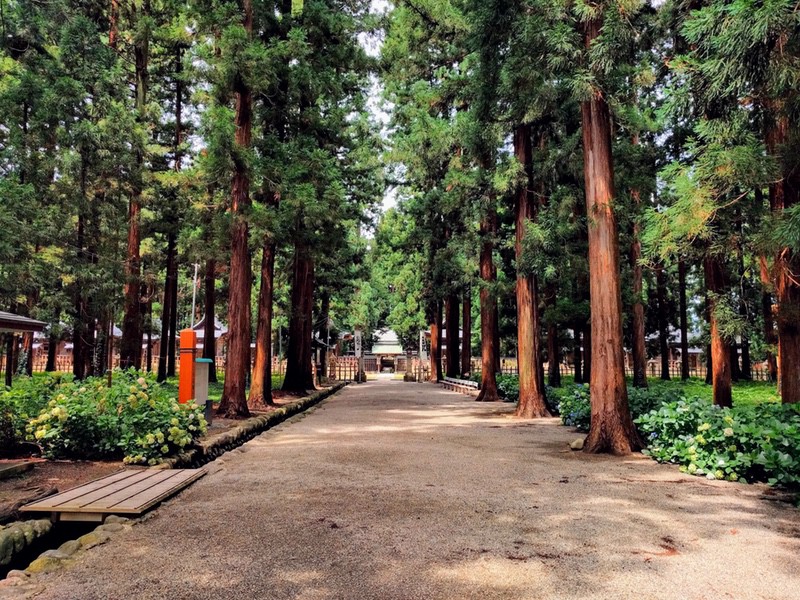 02参道.jpg 02参道