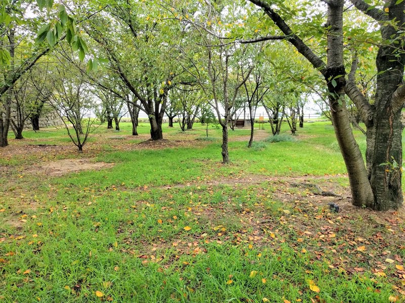 38二ノ丸跡.jpg 38二ノ丸跡