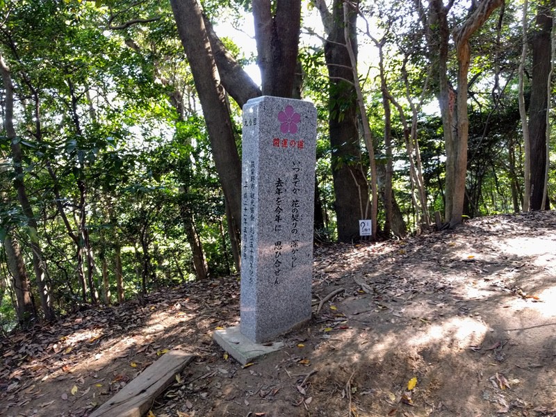 41開運の道九合目