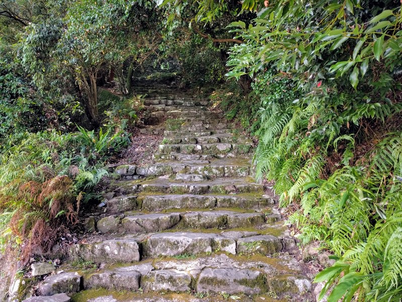 02井戸丸経由階段