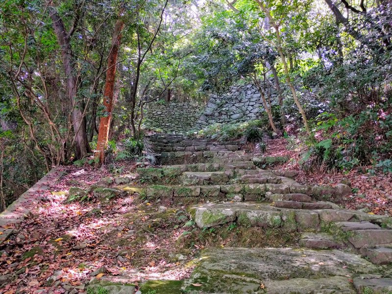 03井戸丸経由階段