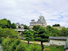 甦った白鷺 国宝！姫路城｜兵庫県姫路市