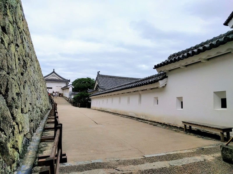 65通路.jpg 65通路