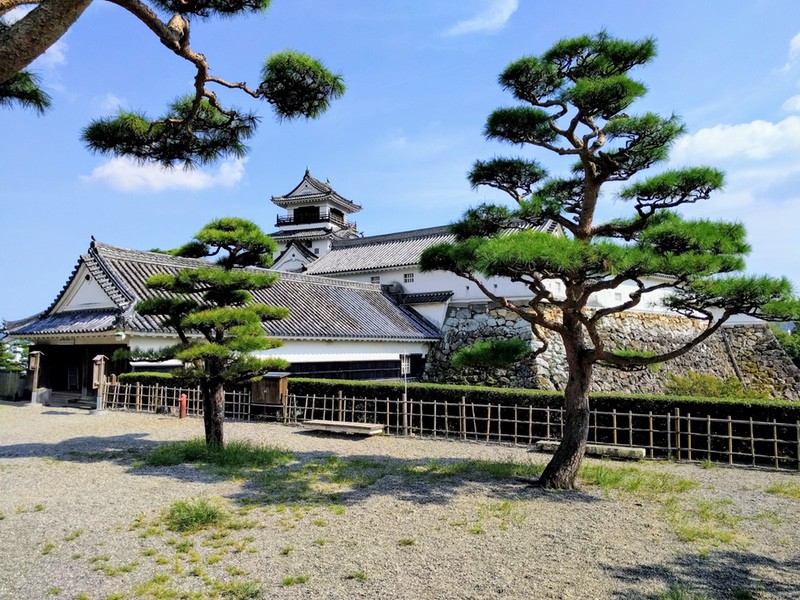 24二ノ丸から天守