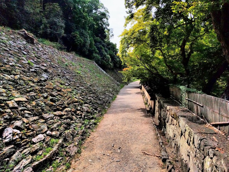 12山吹渓.jpg 12山吹渓