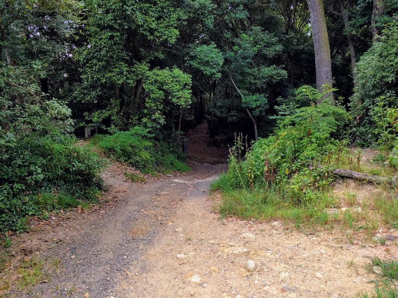 105古町登山道.jpg 105古町登山道