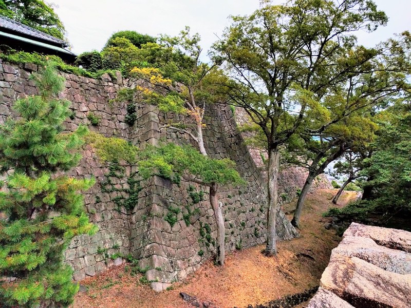 25三ノ丸の石垣.jpg 25三ノ丸の石垣