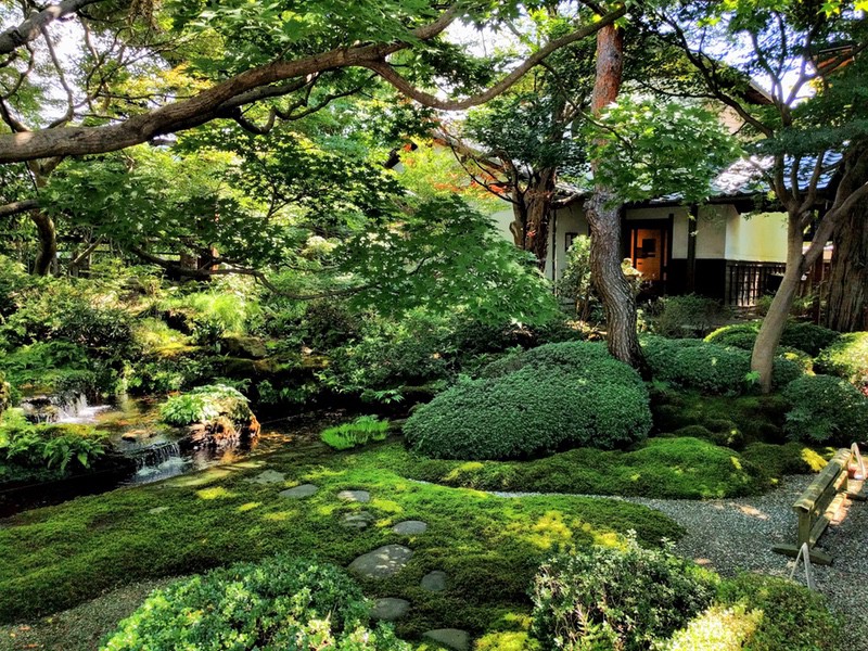 05泉石亭オープンガーデン.jpg 05泉石亭オープンガーデン