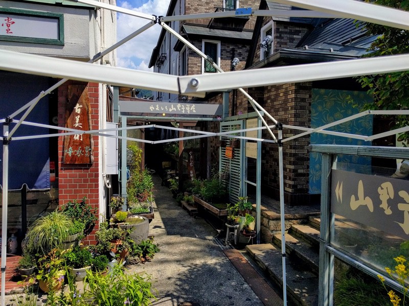 17やましち山野草店.jpg 17やましち山野草店