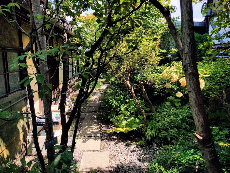 08やましち山野草店和風ロックガーデン.jpg 08やましち山野草店和風ロックガーデン