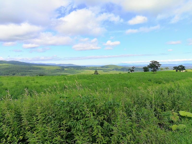 06ナイタイ高原牧場.jpg 06ナイタイ高原牧場