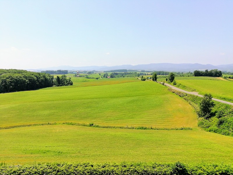 06展望台から.jpg 06展望台から