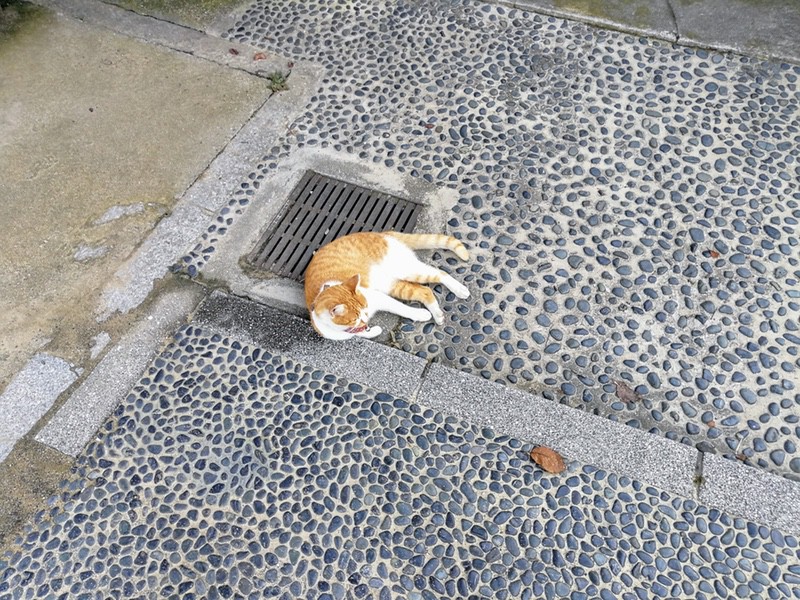 13宝土寺.jpg 13宝土寺