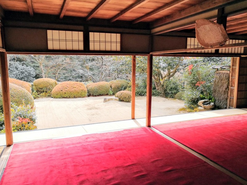 05部屋から庭.jpg 05部屋から庭