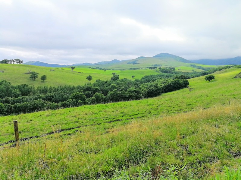 08ナイタイ高原牧場.jpg 08ナイタイ高原牧場