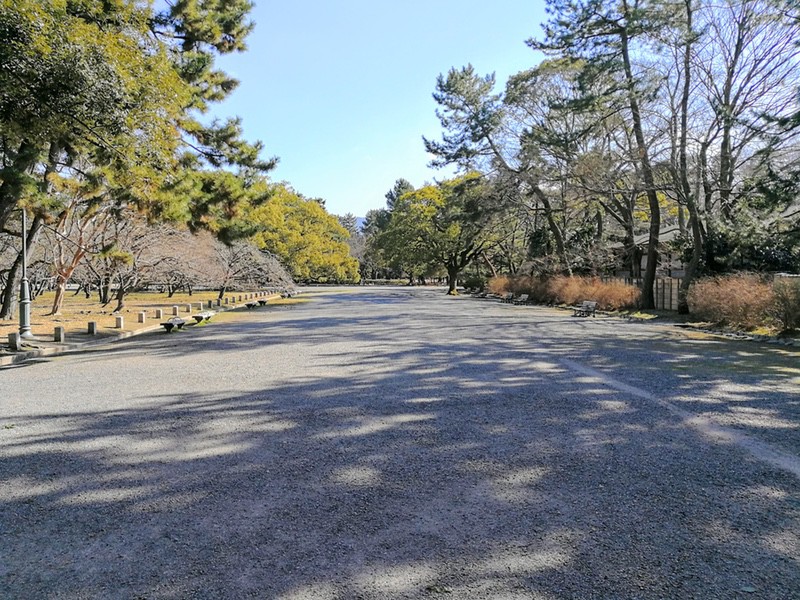 11京都御苑内.jpg 11京都御苑内