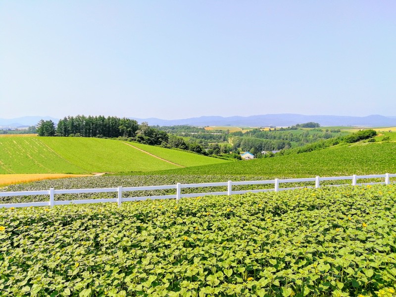 05新栄の丘.jpg 05新栄の丘