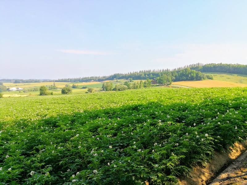 07三愛の丘.jpg 07三愛の丘