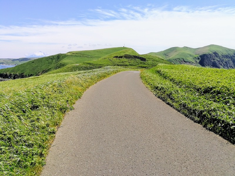 15スコトン岬方面(山道).jpg 15スコトン岬方面 山道