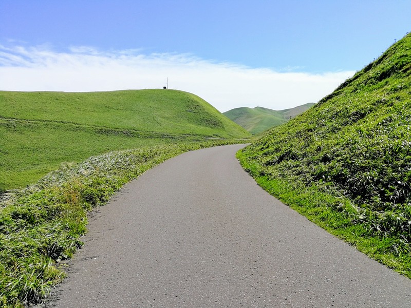 19スコトン岬方面(山道).jpg 19スコトン岬方面 山道