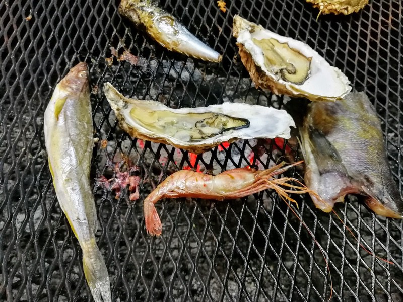 11浜っこ山ちゃん