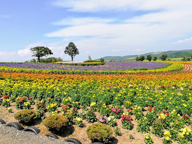 02ぜぶるの丘.jpg 02ぜぶるの丘