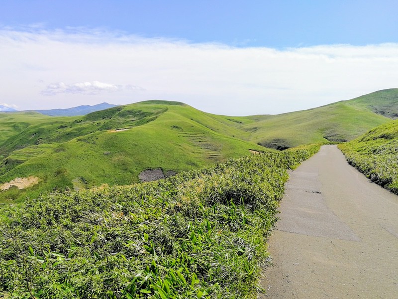 26スコトン岬方面(山道).jpg 26スコトン岬方面 山道