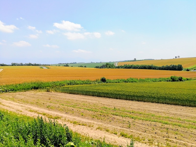 09その周辺.jpg 09その周辺