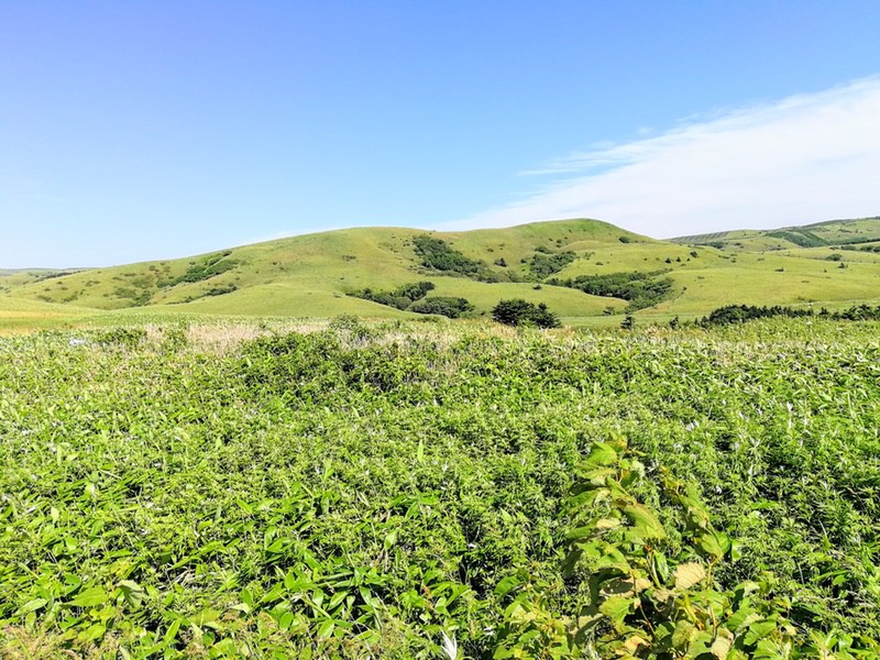 29澄海岬方面.jpg 29澄海岬方面