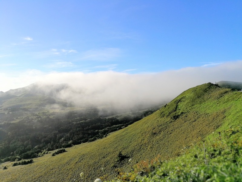 46礼文林道.jpg 46礼文林道