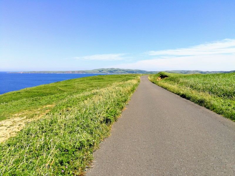 14スコトン岬方面(山道).jpg 14スコトン岬方面 山道