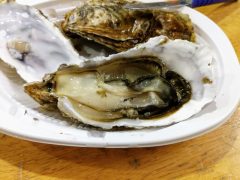 厚岸といえばカキ！生でも食べれる厚岸漁業協同組合直売店｜北海道厚岸町