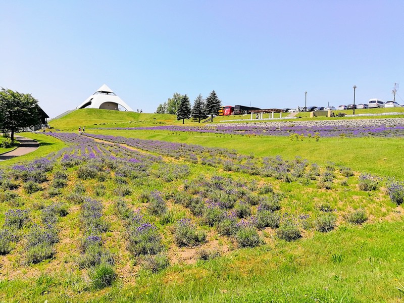 01北西の丘.jpg 01北西の丘