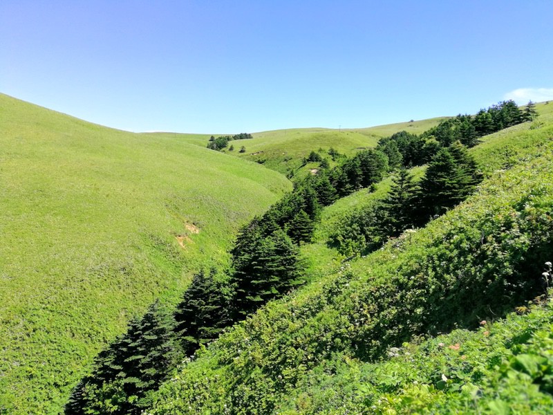 21澄海岬-昼食ポイント間.jpg 21澄海岬 昼食ポイント間