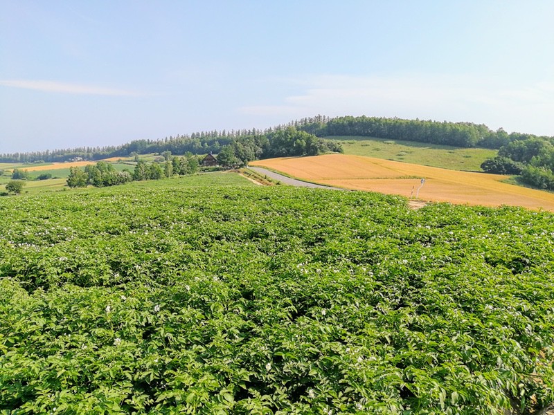 08三愛の丘.jpg 08三愛の丘