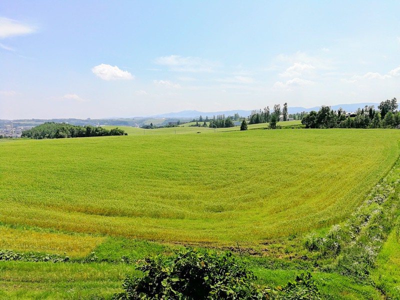 06展望台からの眺め.jpg 06展望台からの眺め