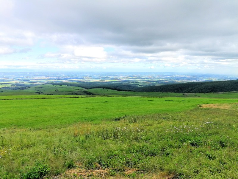 17ナイタイ高原牧場.jpg 17ナイタイ高原牧場