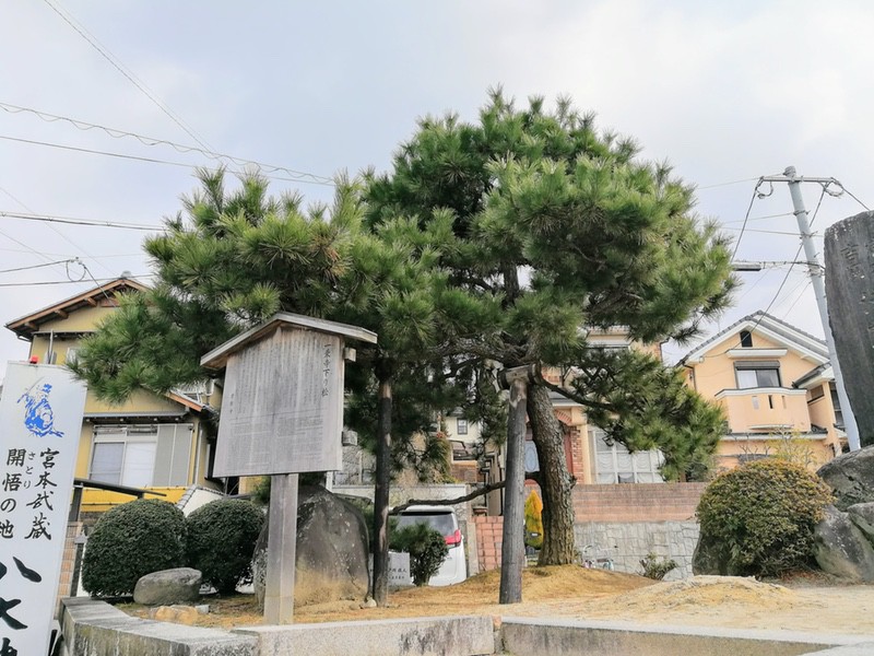 01一乗寺下り松.jpg 01一乗寺下り松
