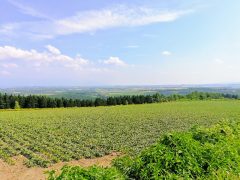周囲の坂もすごい！就実の丘｜北海道旭川市