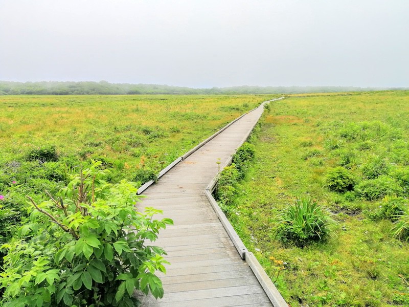 03北方原生花園.jpg 03北方原生花園